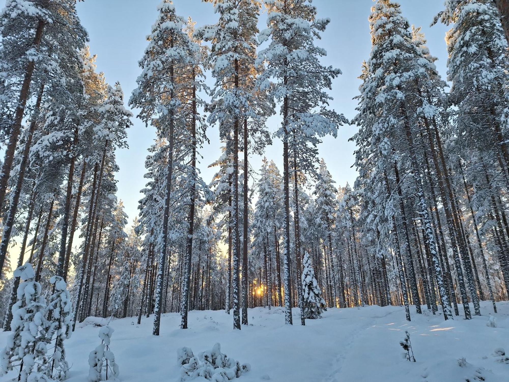 Villa Aleksi With Sauna Rovaniemi Luaran gambar